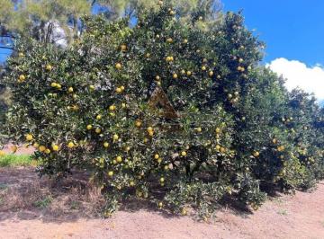 Imagem 1 · Fazenda