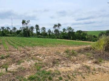 Rural , Limeira · Área Rural de 20.000 m² à Venda em Pires de Baixo – Limeira/SP | R$ 340.000.