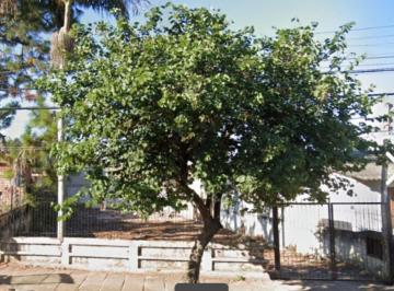 Terreno · 334m² · Terreno para Venda - 334m² Bairro Tristeza