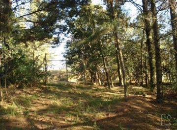 Terreno , Porto Alegre · Terreno para Venda - 0m², 0 dormitórios, Vila Nova