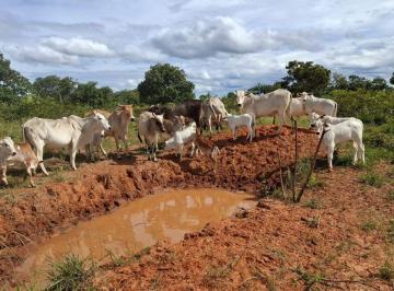Rural · 1295ha · 4 Quartos · FAZENDA À VENDA — ALTO POTENCIAL PRODUTIVO EM CHAPADA GAÚCHA - 1.295 HECTARES