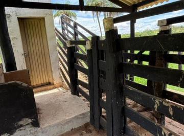 Rural · 107ha · SÍTIO À VENDA EM FORMOSA GO - 107 HECTARES