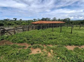 Rural · 590ha · 1 Quarto · FAZENDA GAMELEIRA À VENDA – EXCELENTE OPORTUNIDADE - 590 HECTARES