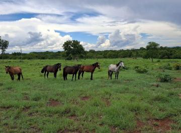 Rural · 344ha · 1 Quarto · FAZENDA À VENDA EM SÃO JOÃO D'ALIANÇA GO - 344 HECTARES