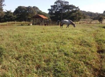Rural · 81ha · 3 Quartos · FAZENDA À VENDA EM UNAÍ MG - 81,5 HECTARES
