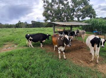 Rural · 33ha · 2 Quartos · SÍTIO À VENDA NO SANTO ANTÔNIO DO DESCOBERTO - 33 HECATRES