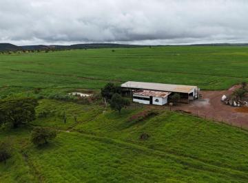 Rural · 192ha · FAZENDA À VENDA EM COCALZINHO DE GOIÁS - 192,8 HECTARES