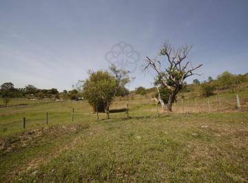 202601131422062423.jpg · Terreno para Venda em São Pedro, Capim Fino