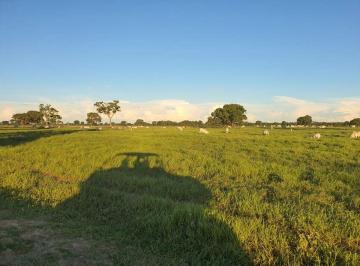 Rural , Rio Negro · FAZENDA COM 15.000 HÁ NA PECUÁRIA EM RIO NEGRO/MS