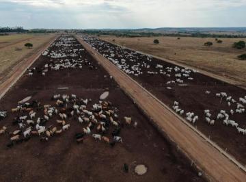 Rural , Paranatinga · FAZENDA COM 20.600 HÁ. NA REGIÃO DE PARANATINGA-MT .