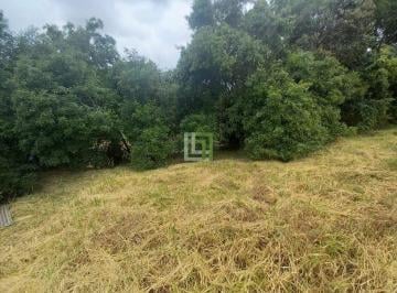 | Foto_migracao | 0 · Terreno à venda - em Malota