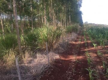 Rural · 15m² · Chácara com 19,63 há de Ativo Florestal e Padtagem (dupla aptidão) no PR – 16.000 Sacas de Soja [5 a