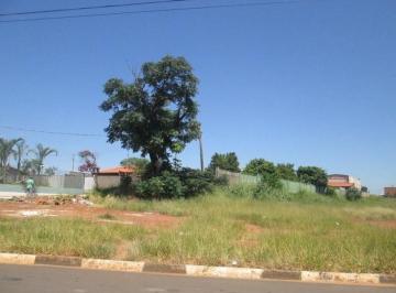 terreno-a-venda-436-m-por-r-310-000-00-jardim-amelia-paulinia-sp1684333791801xlghq.jpg · Imoveis - no Jardim São José
