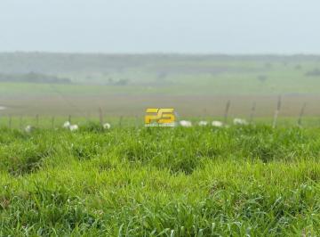 Rural · 1900000m² · FAZENDA À VENDA – MACAÍBA/RN