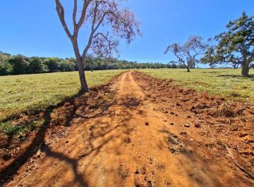 Rural de 3 quartos, Santo Antônio do Descoberto · FAZENDA DE 15 ALQUEIRES EM SANTO ANTÔNIO DO DESCOBERTO – GO