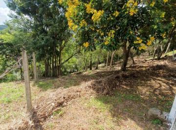 0_74049_816506.jpg · TERRENO em FLORIANOPOLIS - CACHOEIRA DO BOM JESUS