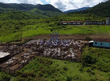 Rural · 1100m² · 10 Vagas · Fazenda, Centro, Pau Brasil - R$ 27.5 mi, Cod: 69025