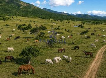 Rural · 1000m² · 10 Vagas · Fazenda, Palmira, Itaju do Colônia - R$ 20 mi, Cod: 69028