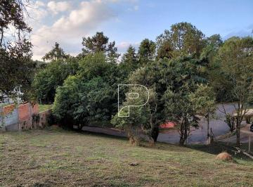 fb4917cfea5ce79f9a4e346f1fb7eb5715b928b9 · Terreno à venda, 600 m² por R$ 250.000,00 - Colinas de São Fernando - Cotia/SP