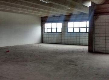 Comercial , São Paulo · Prédio Comercial para Locação na Vila Maria – Alto Fluxo e Fácil Acesso à Marginal Tietê