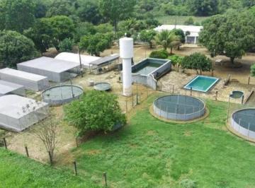 6d991a66a50ddbb34c15fe7da6a3f7e6d9811e9a · FAZENDA ESCRITURADA NOVO GAMA GO PISCICULTURA OUTORGA ANA ENERGIA SOLAR ACEITA IMÓVEIS