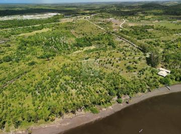 Rural · 562830m² · Fazenda Beira Rio à Venda em Indiaroba/SE na Linha Verde