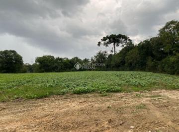 Rural · 20148m² · Chácara à venda, 20148 m² por R$ 550.000,00 - Felpudo - Campo Largo/PR