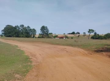 202606091649047946.jpeg · Sítio para Venda em Cajuru, RURAL