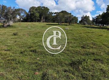 Rural de 2 quartos, São Lourenço da Serra · Sitio a venda em São luiz do Paraitinga