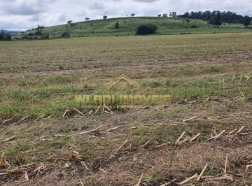 202606102014306984.jpeg · Fazenda para Venda em Pouso Alegre, 6 km da Rodovia Fernão Dias