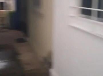 Casa para locação no RUA CARATINGA - NOSSA SENHORA DO Ó, PAULISTA - PE, NOSSA SENHORA DO Ó, Paulista, PE · Casa para locação no RUA CARATINGA - NOSSA SENHORA DO Ó, PAULISTA - PE, NOSSA SENHORA DO Ó, Paulista