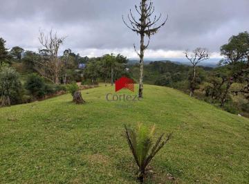 Rural · 8741m² · Chácara com 8.740,6m² , à venda, no bairro Ipê em São José dos Pinhais