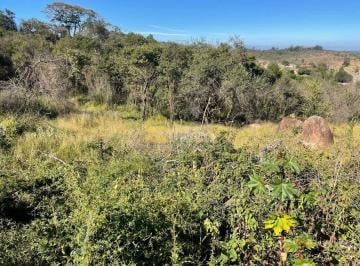 Terreno · 1564m² · Terreno en Condomínio para venda em Condomínio Cisalpina Park de 1563.95m²