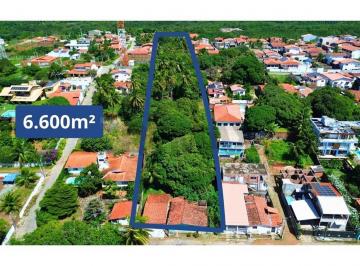 Comercial · 6600m² · 1 Quarto · 1 Vaga · Área Estratégica em Pirangí – 6.600 m² de Potencial para Grandes Projetos e Investimentos