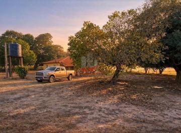 Infraestrutura residencial completa em Barra do Bugres - MT: propriedade estruturada com casa sede em alvenaria, reservatório d'água e excelente localização a apenas 35 km da cidade. · Fazenda à Venda em Barra do Bugres - MT | 1.390 Hectares