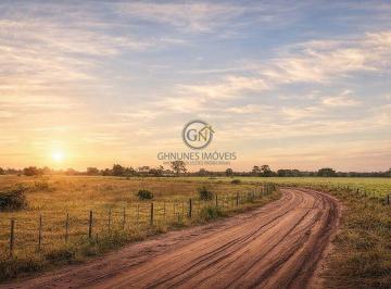 Estrada interna limpa e cascalhada, com excelente escoamento de água e tráfego garantido em qualquer época do ano. · Fazenda à Venda em Barra do Bugres - MT | 1.390 Hectares