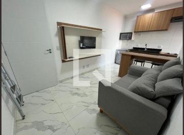 Apartamento · 30m² · 1 Quarto · Apartamento para Aluguel - Casa Verde, 1 Quarto,  30 m² - São Paulo