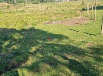 Comercial · 49000m² · Galpão / Depósito / Armazém para venda em Centro de 49000.00m²