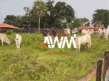 b89fdab66dea41ee5f896251856efd764e5be223 · Fazenda à venda, 3330000 m² por R$ 5.500.000 - Centro - Itapecuru Mirim/MA