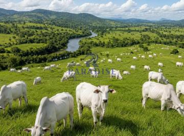 Imagem 1 · Fazenda