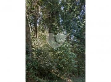 Terreno · 550m² · 1 Quarto · 5 Vagas · Terreno com 1 quartos à venda em Jardim virginia bianca - SP