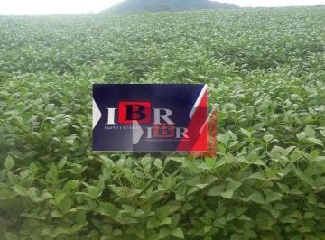 bd85ac8d10e679e8a1a86f079fb642c250b66d22 · Fazenda em Araguaia MT