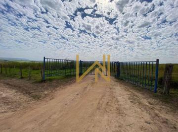 Imagem 1 · Fazenda