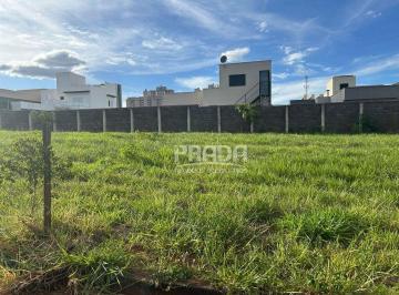 Imagem 1 · Terreno