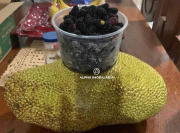 Imagem 1 · Chácara