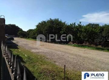 21711068116972.jpeg · Terreno à venda, Vila Guilherme, São Paulo, SP