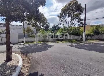 61739220687751.jpg · Terreno à venda, Jardim Leonor Mendes de Barros, São Paulo, SP