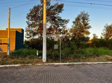 img_3723-17186518025192.jpeg · TERRENO CIDADE NOVA
