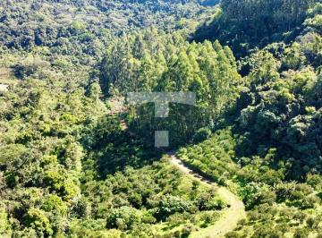dji_fly_20240826_131052_386_1724688659428_photo_optimized-17271861222944.jpeg · ÁREA RURAL