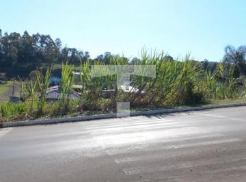 20230721_111746-16902269766885.jpg · Terreno Loteamento Petry I – L01 QA - Esquina